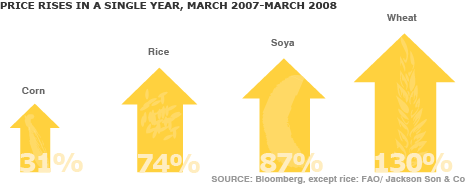grafiek die de prijsstijgingen illustreert van mais, rijst, soja en graan