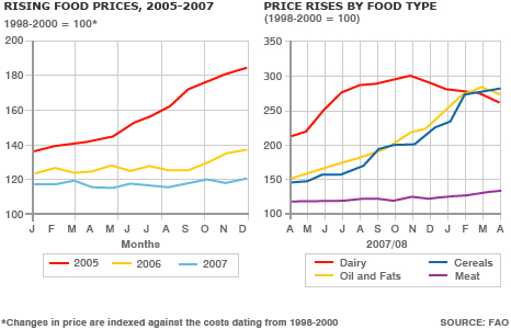 lijngrafieken die de stijgende voedselprijzen  tonen van 2005 tot en met 2007 en prijsstijgingen per voedselsoort van 2007 tot en met 2008